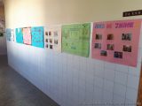 My Gallery (35/80)